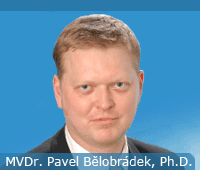 Elektronická vývěska místních organizací KDU-ČSL